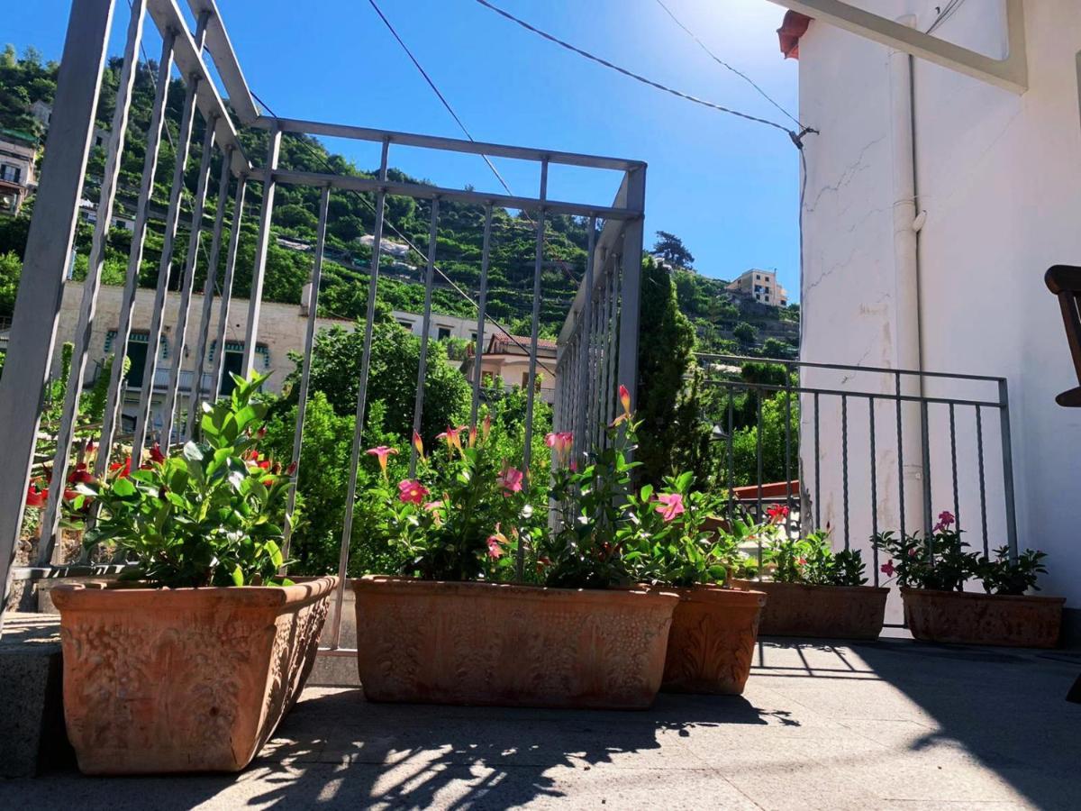 L'Albero Della Vita Minori Eksteriør billede